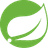 Spring Logo
